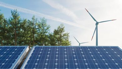 Step-by-Step Guide to Investing in Renewable Energy Finance